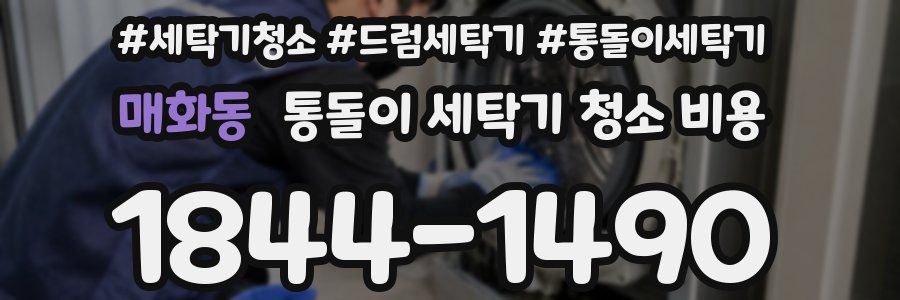 매화동 통돌이 세탁기 청소 비용
