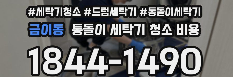 금이동 통돌이 세탁기 청소 비용