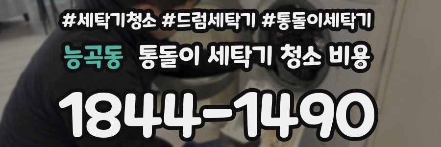 능곡동 통돌이 세탁기 청소 비용