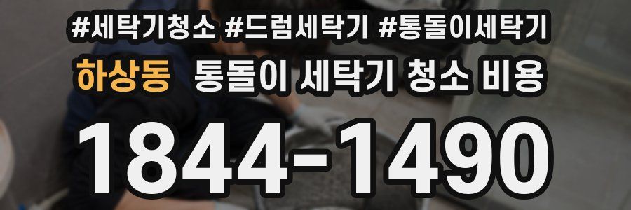 하상동 통돌이 세탁기 청소 비용