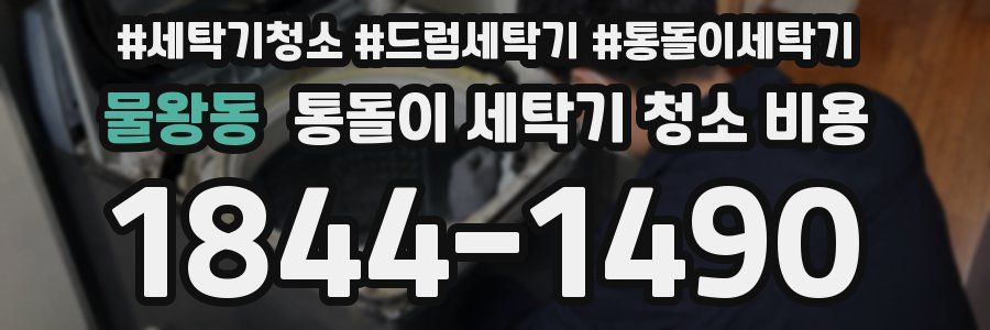 물왕동 통돌이 세탁기 청소 비용