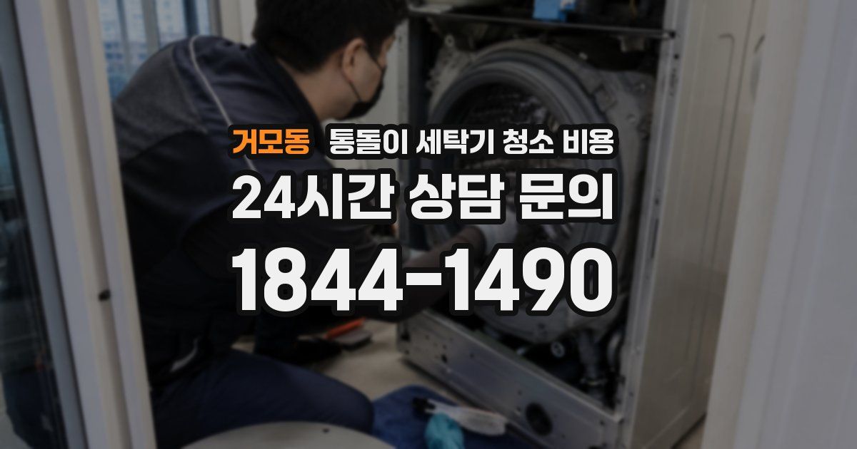 거모동 통돌이 세탁기 청소 비용