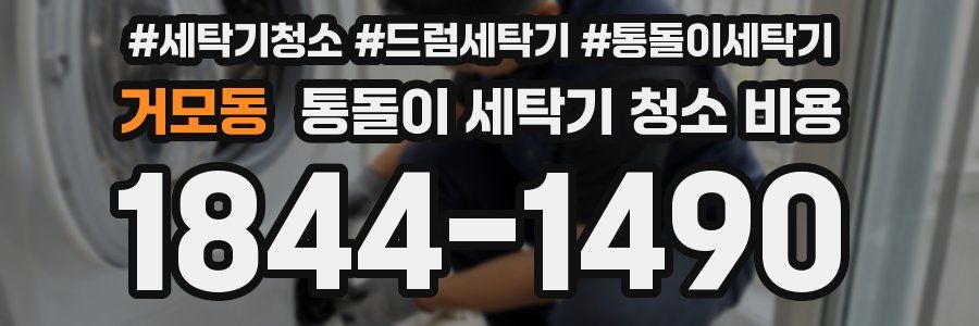 거모동 통돌이 세탁기 청소 비용