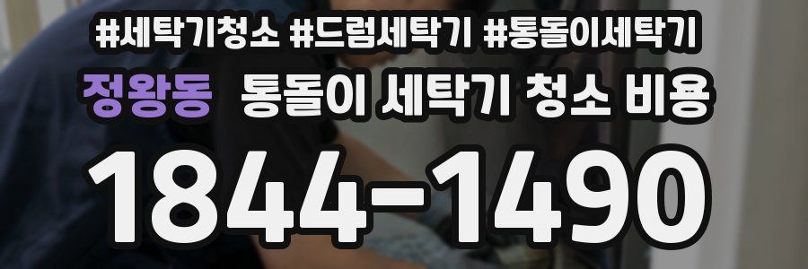 정왕동 통돌이 세탁기 청소 비용