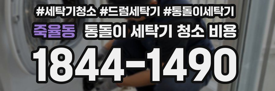 죽율동 통돌이 세탁기 청소 비용