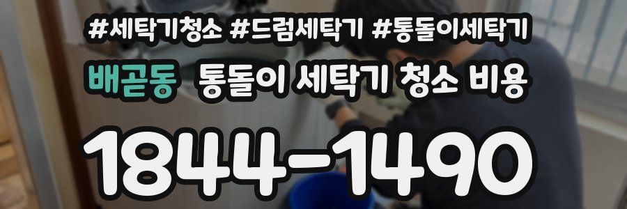 배곧동 통돌이 세탁기 청소 비용