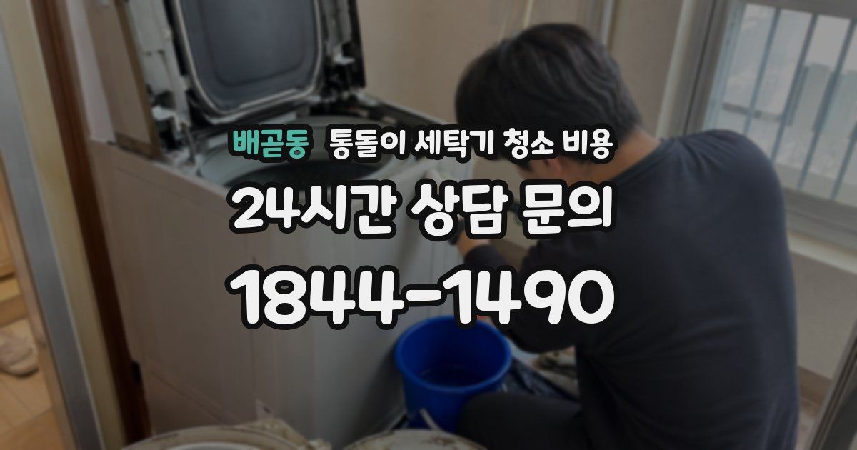 배곧동 통돌이 세탁기 청소 비용