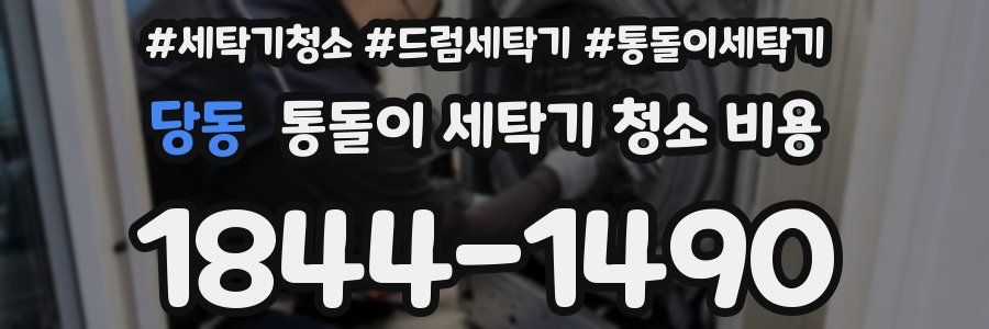 당동 통돌이 세탁기 청소 비용
