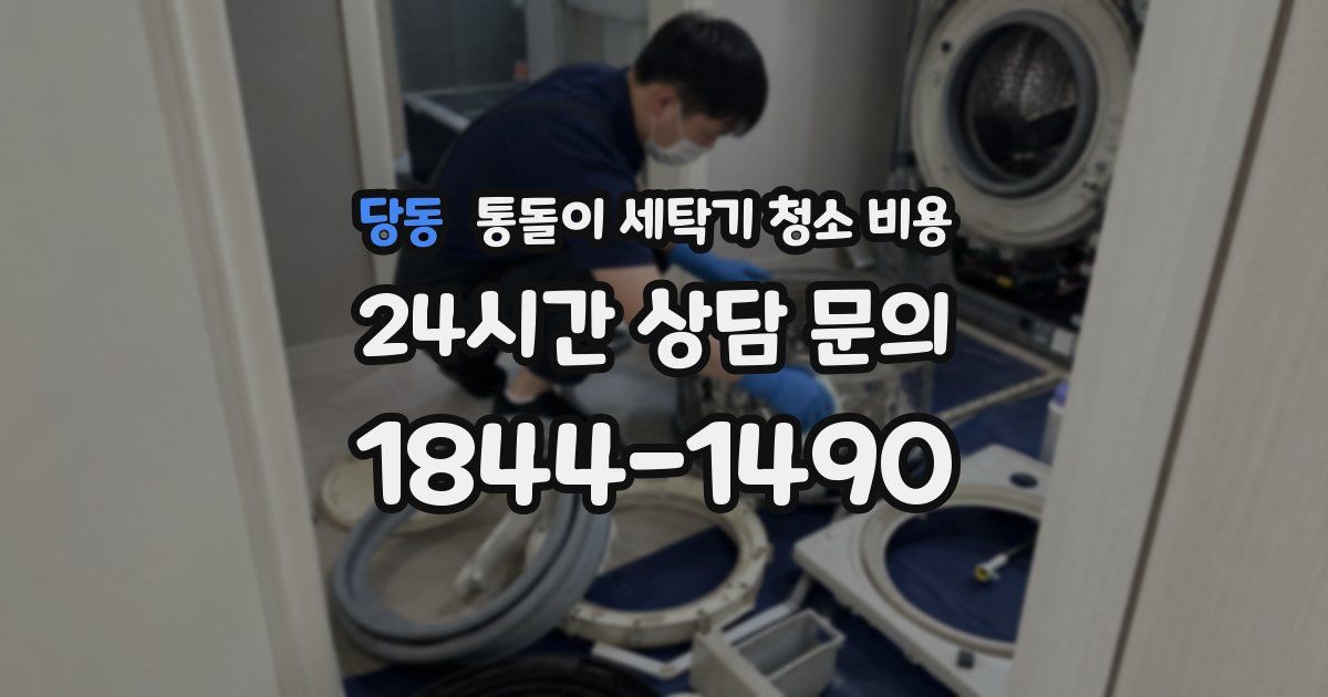당동 통돌이 세탁기 청소 비용