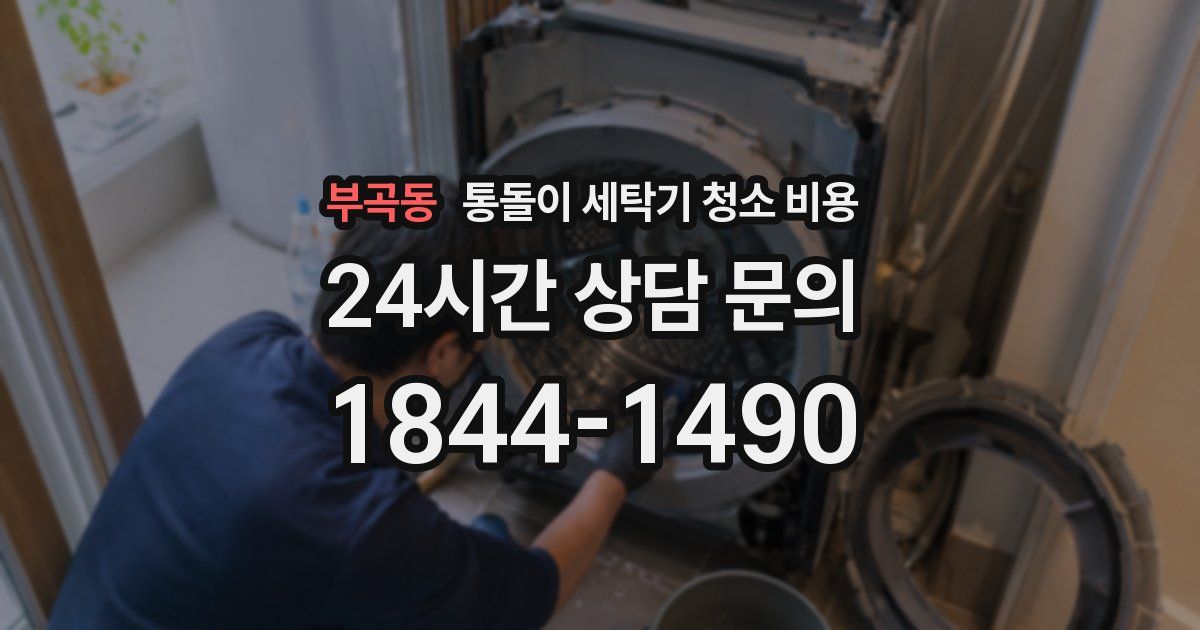 부곡동 통돌이 세탁기 청소 비용