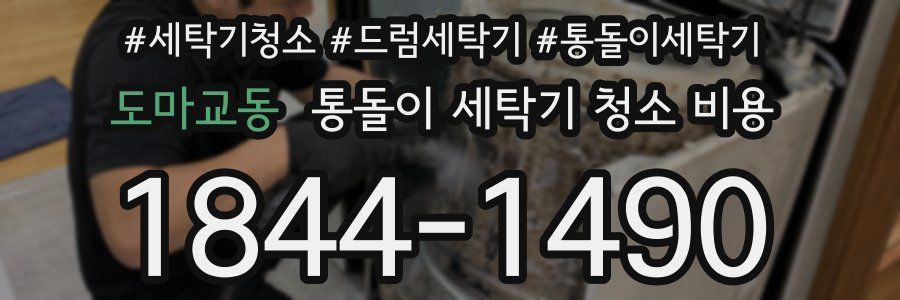 도마교동 통돌이 세탁기 청소 비용