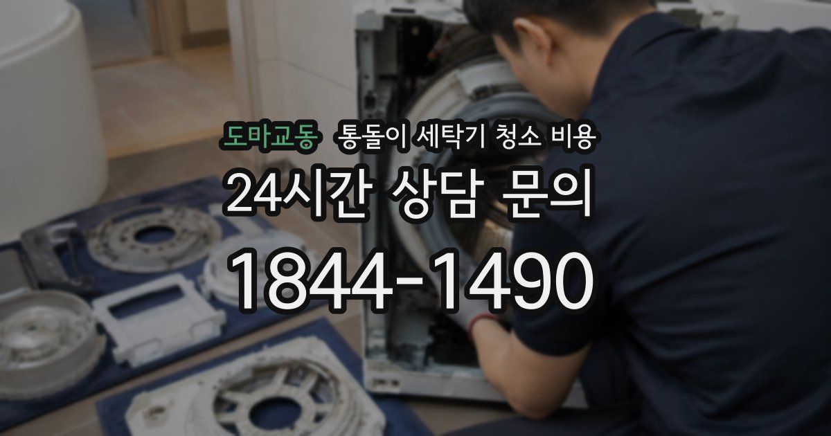 도마교동 통돌이 세탁기 청소 비용