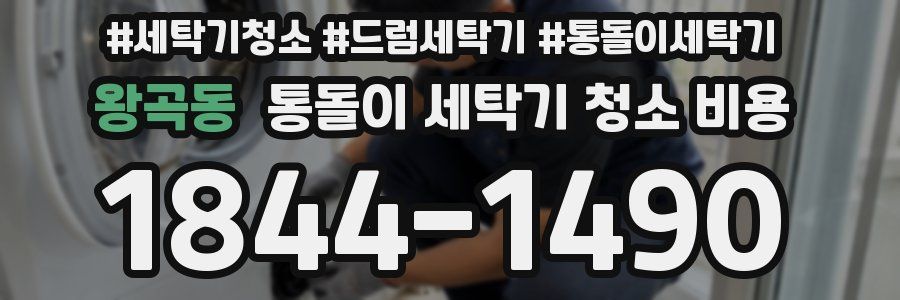 왕곡동 통돌이 세탁기 청소 비용