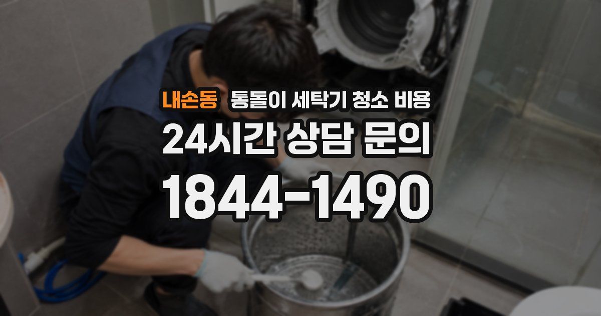 내손동 통돌이 세탁기 청소 비용