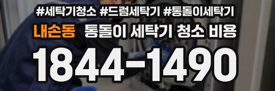 내손동 통돌이 세탁기 청소 비용