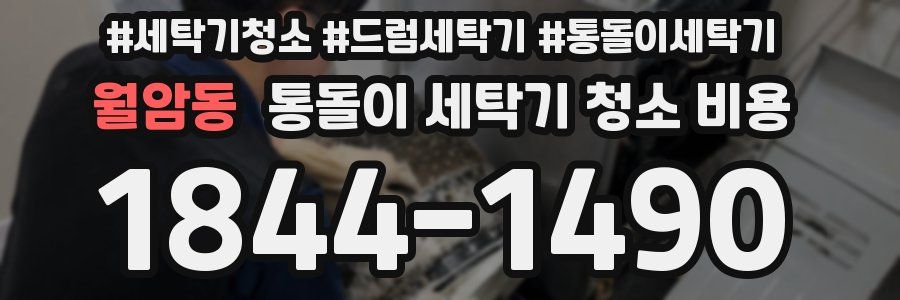 월암동 통돌이 세탁기 청소 비용