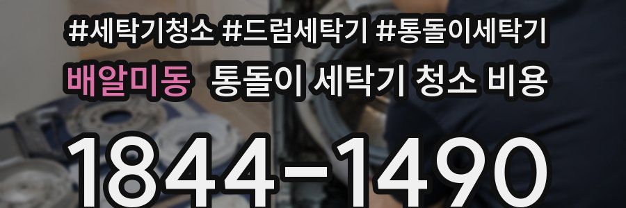 배알미동 통돌이 세탁기 청소 비용
