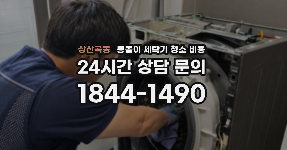 상산곡동 통돌이 세탁기 청소 비용