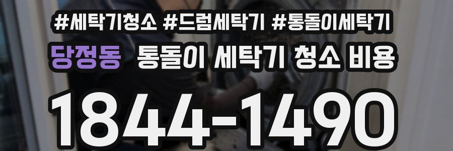당정동 통돌이 세탁기 청소 비용