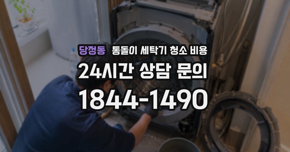 당정동 통돌이 세탁기 청소 비용
