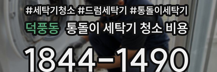 덕풍동 통돌이 세탁기 청소 비용