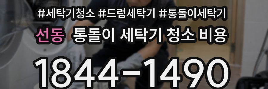 선동 통돌이 세탁기 청소 비용