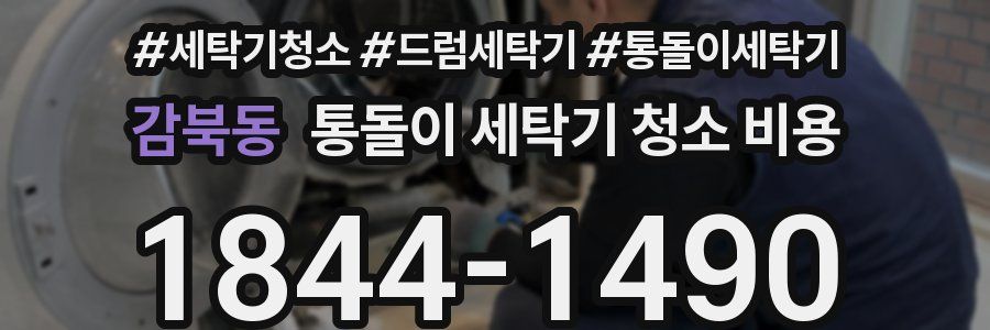 감북동 통돌이 세탁기 청소 비용