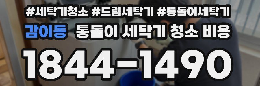 감이동 통돌이 세탁기 청소 비용