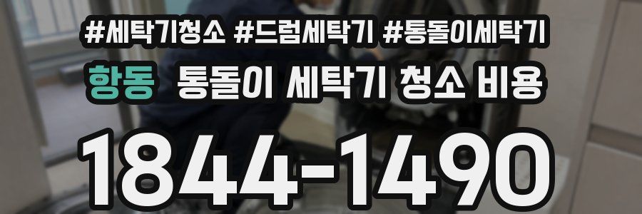 항동 통돌이 세탁기 청소 비용
