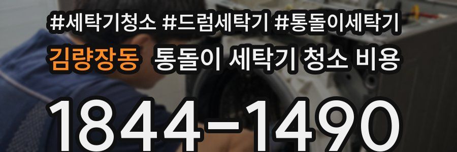 김량장동 통돌이 세탁기 청소 비용