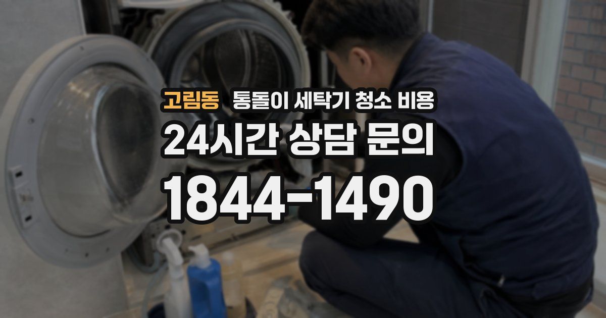고림동 통돌이 세탁기 청소 비용