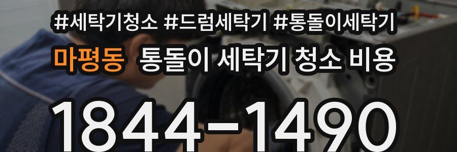 마평동 통돌이 세탁기 청소 비용