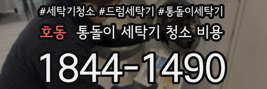 호동 통돌이 세탁기 청소 비용