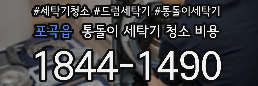 포곡읍 통돌이 세탁기 청소 비용