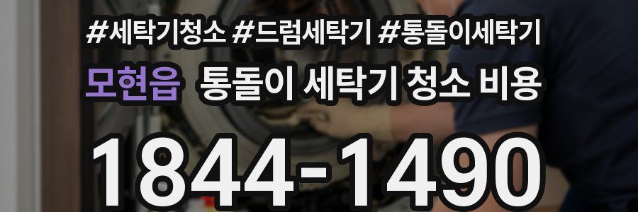 모현읍 통돌이 세탁기 청소 비용