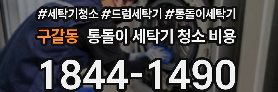 구갈동 통돌이 세탁기 청소 비용