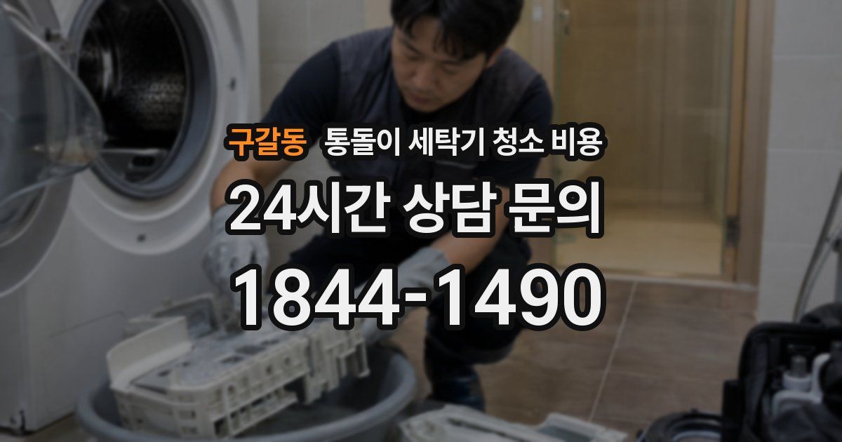 구갈동 통돌이 세탁기 청소 비용