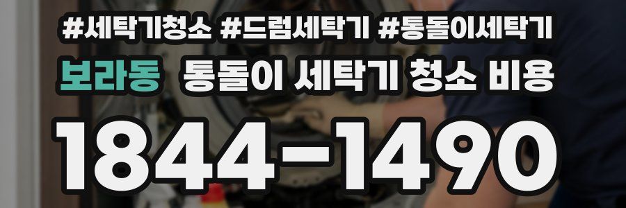 보라동 통돌이 세탁기 청소 비용