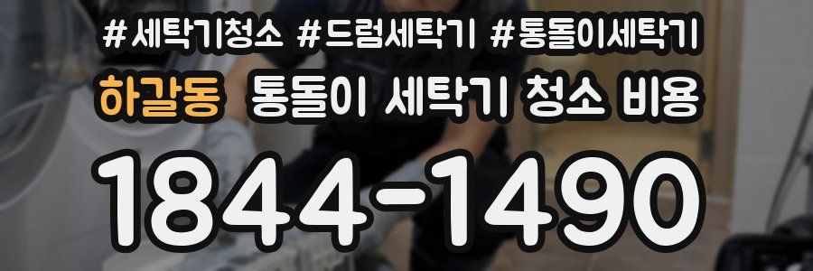 하갈동 통돌이 세탁기 청소 비용