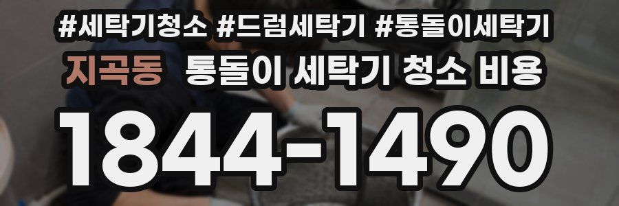 지곡동 통돌이 세탁기 청소 비용