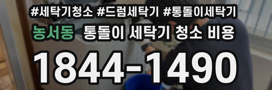농서동 통돌이 세탁기 청소 비용