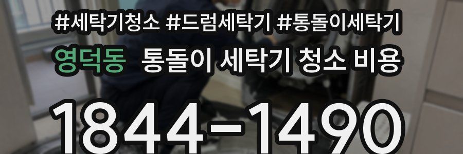 영덕동 통돌이 세탁기 청소 비용