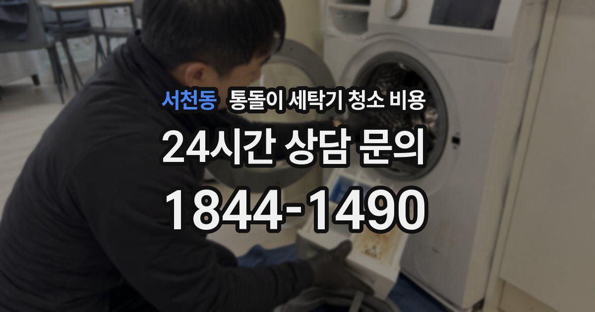 서천동 통돌이 세탁기 청소 비용
