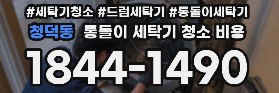 청덕동 통돌이 세탁기 청소 비용