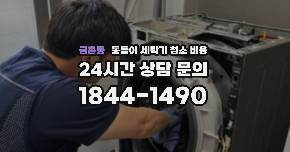 금촌동 통돌이 세탁기 청소 비용