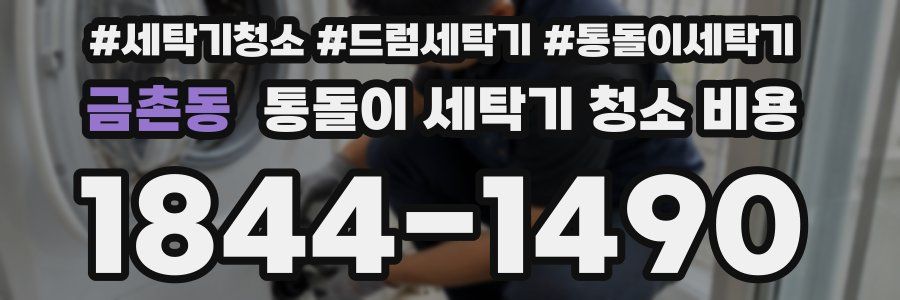 금촌동 통돌이 세탁기 청소 비용