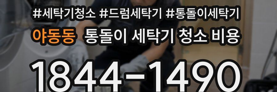 야동동 통돌이 세탁기 청소 비용
