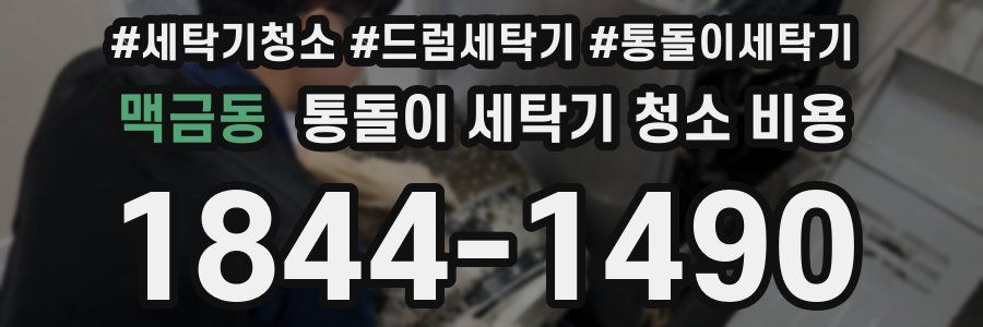 맥금동 통돌이 세탁기 청소 비용