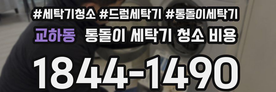 교하동 통돌이 세탁기 청소 비용