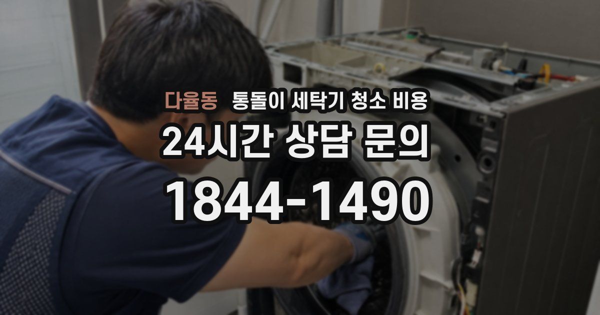 다율동 통돌이 세탁기 청소 비용
